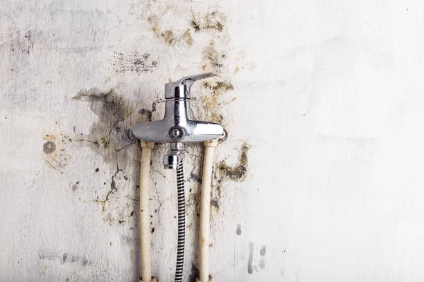 Best Commercial Mold Removal  in Depoe Bay, OR