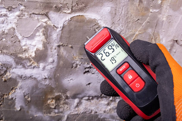 Best Office Mold Removal Services  in Depoe Bay, OR